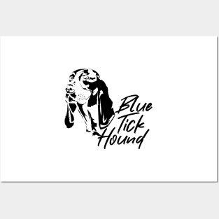 Blue Tick Hound Posters and Art